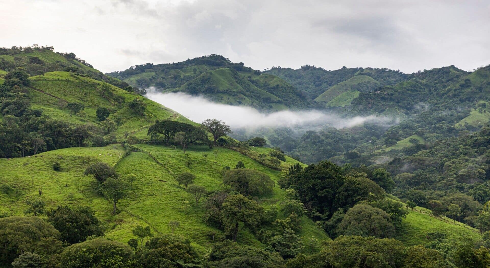 Costa Rica Treatment Center hero photograph